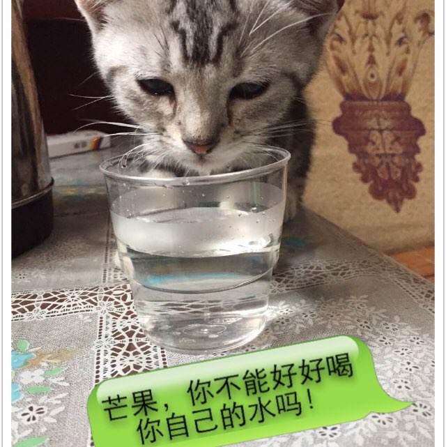 建行转账支票